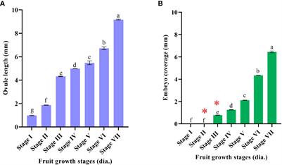 Molecular and histological validation of modified in ovulo nucellus culture based high-competency direct somatic embryogenesis and amplitude true-to-the-type plantlet recovery in Kinnow mandarin